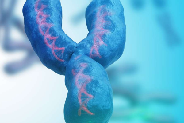 Y chromosome at risk